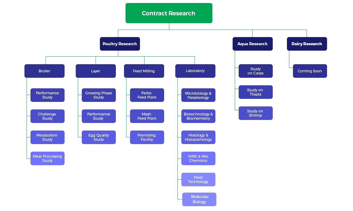 customer research tree