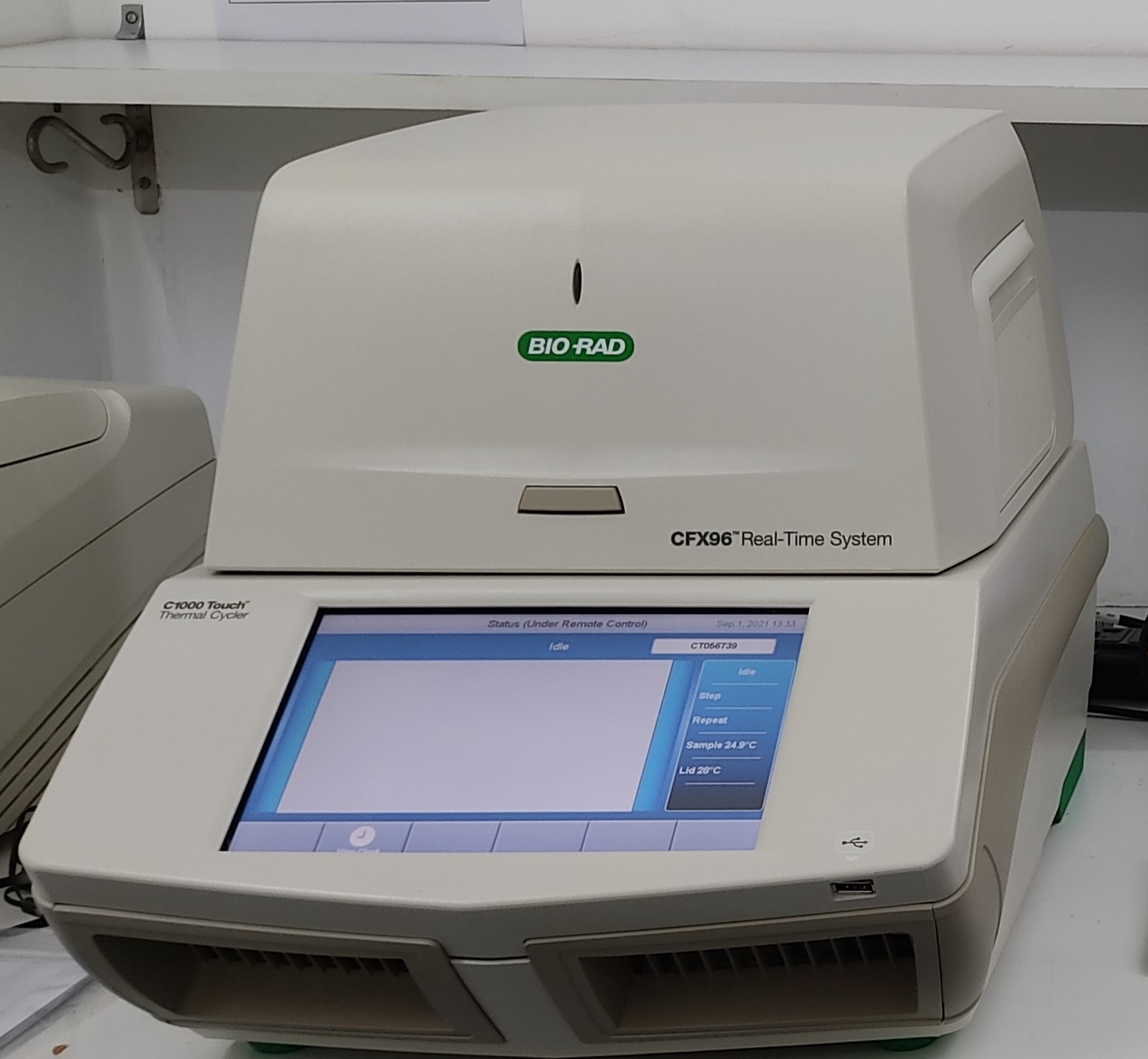 RT-PCR