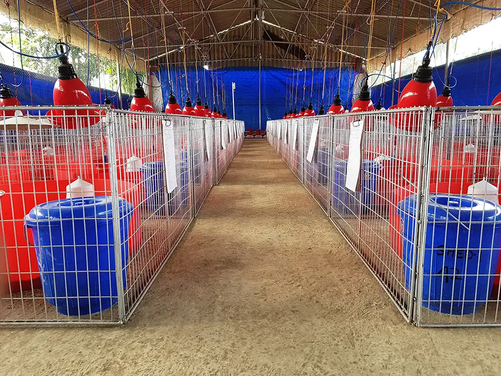 Broiler Facility Gallery 17