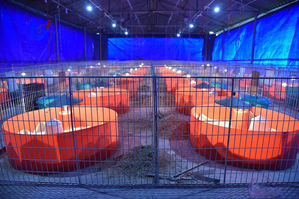 Broiler Facility Gallery 22