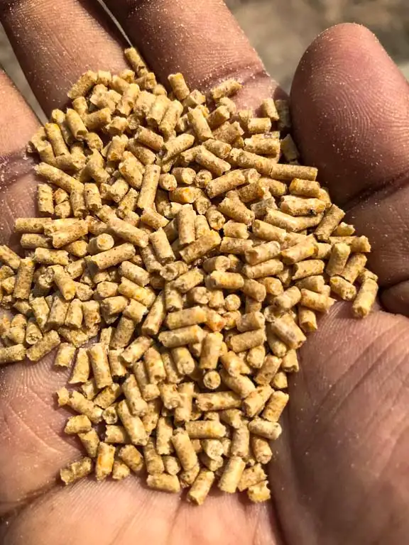 Feed Plant Gallery 23