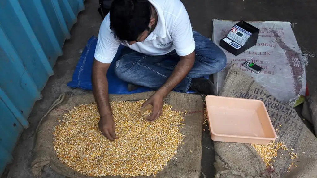 Inspection Service Gallery 21