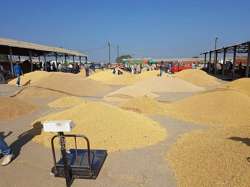 Inspection Service Gallery 4