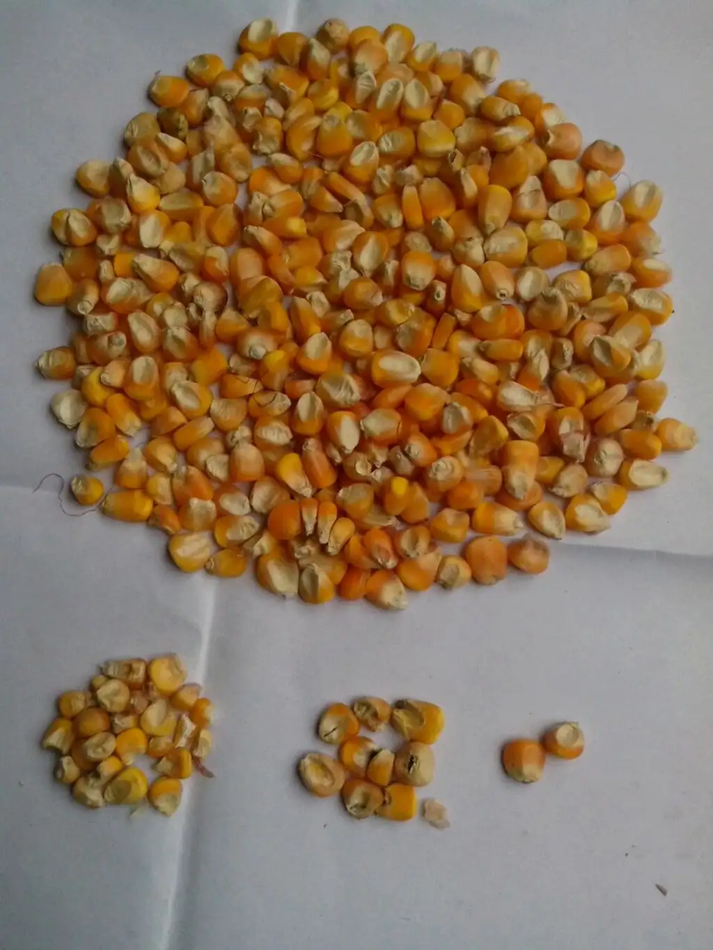 Inspection Service Gallery 5