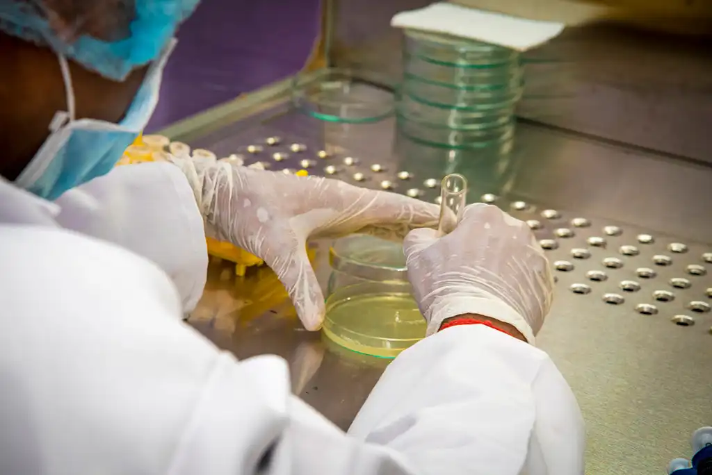 Laboratories Gallery 16