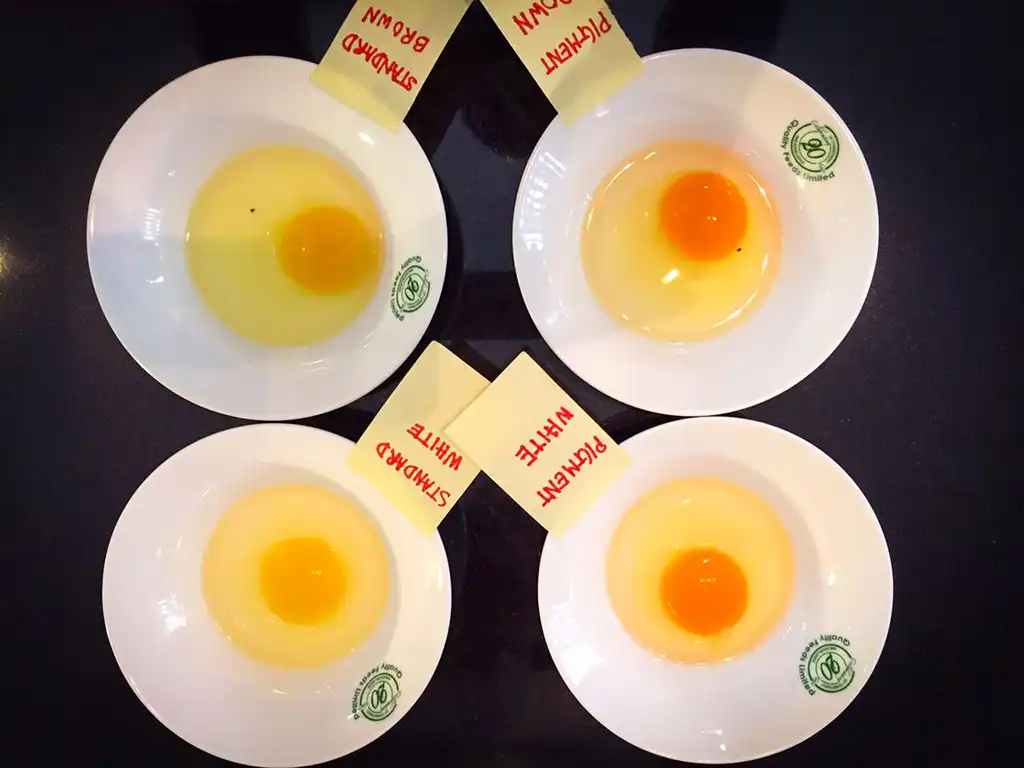 Laboratories Gallery 2