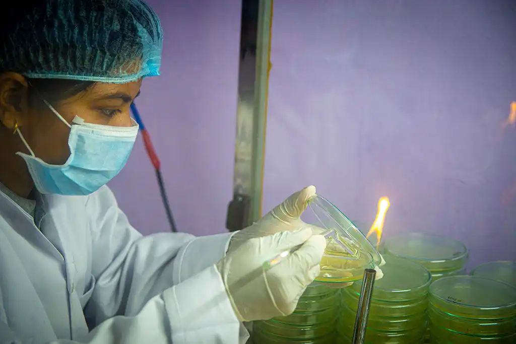 Laboratories Gallery 22