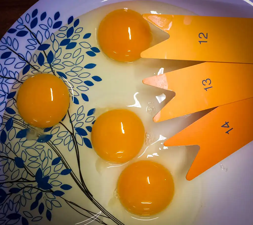 Laboratories Gallery 3