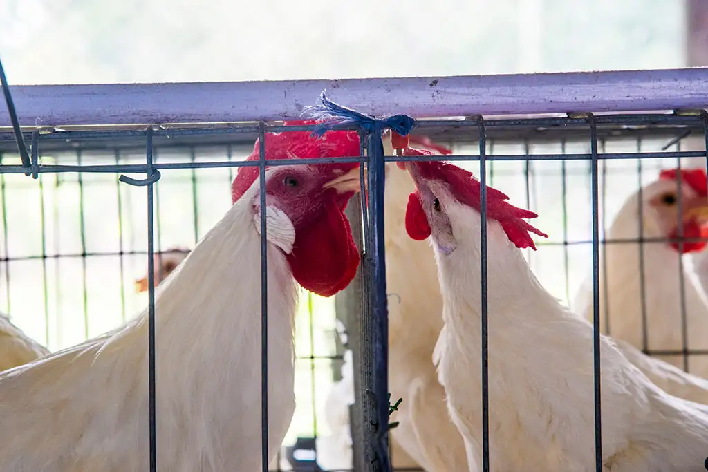 Layer Facility Gallery 12