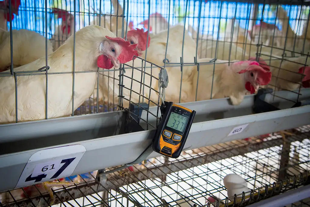 Layer Facility Gallery 13