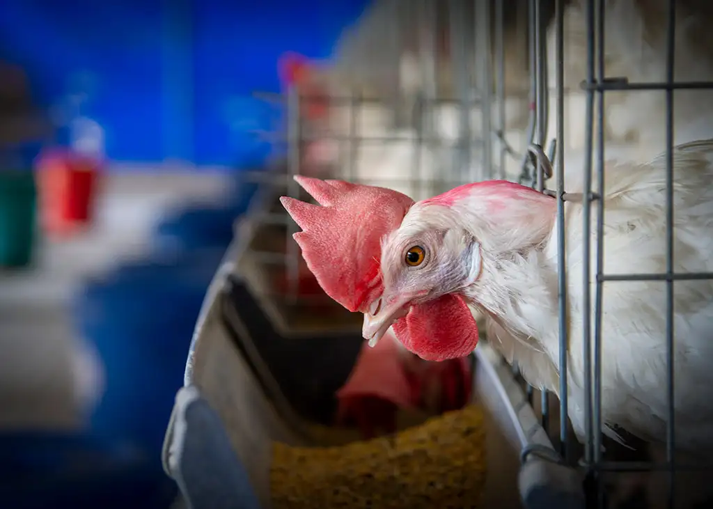 Layer Facility Gallery 16