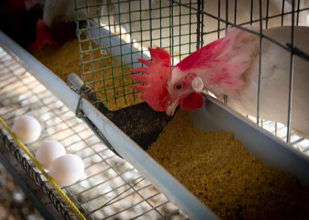 Layer Facility Gallery 18