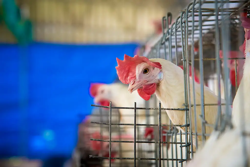 Layer Facility Gallery 3