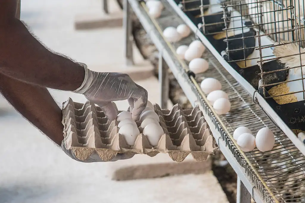 Layer Facility Gallery 7