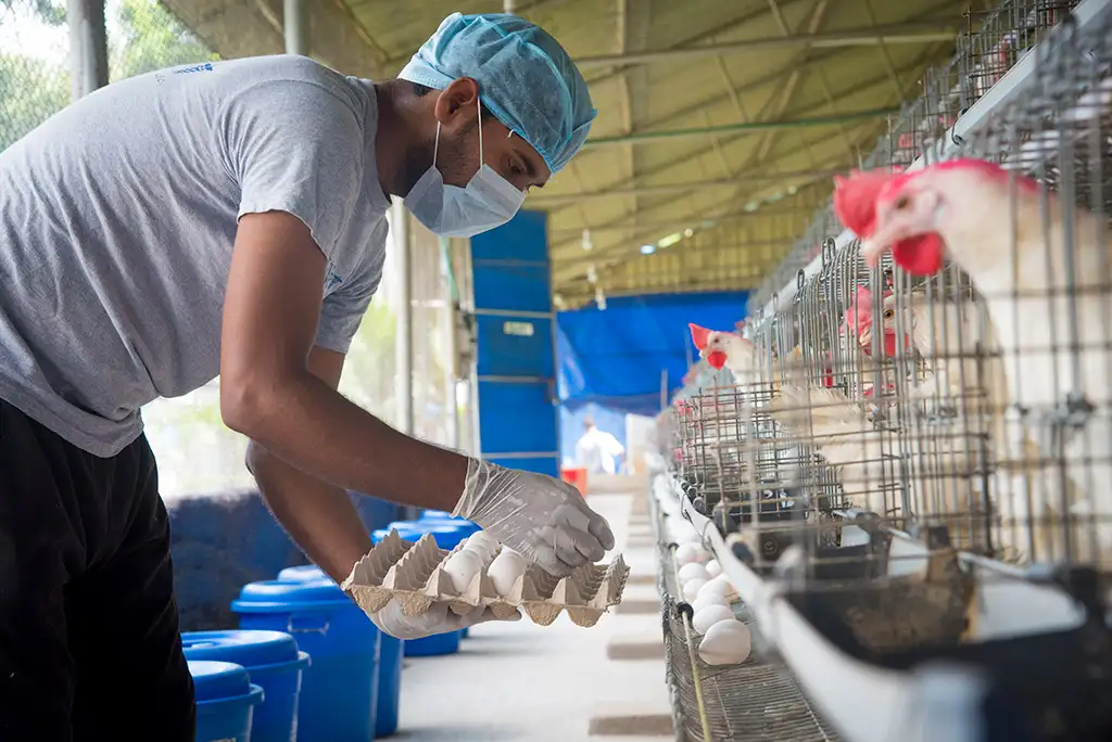 Layer Facility Gallery 8