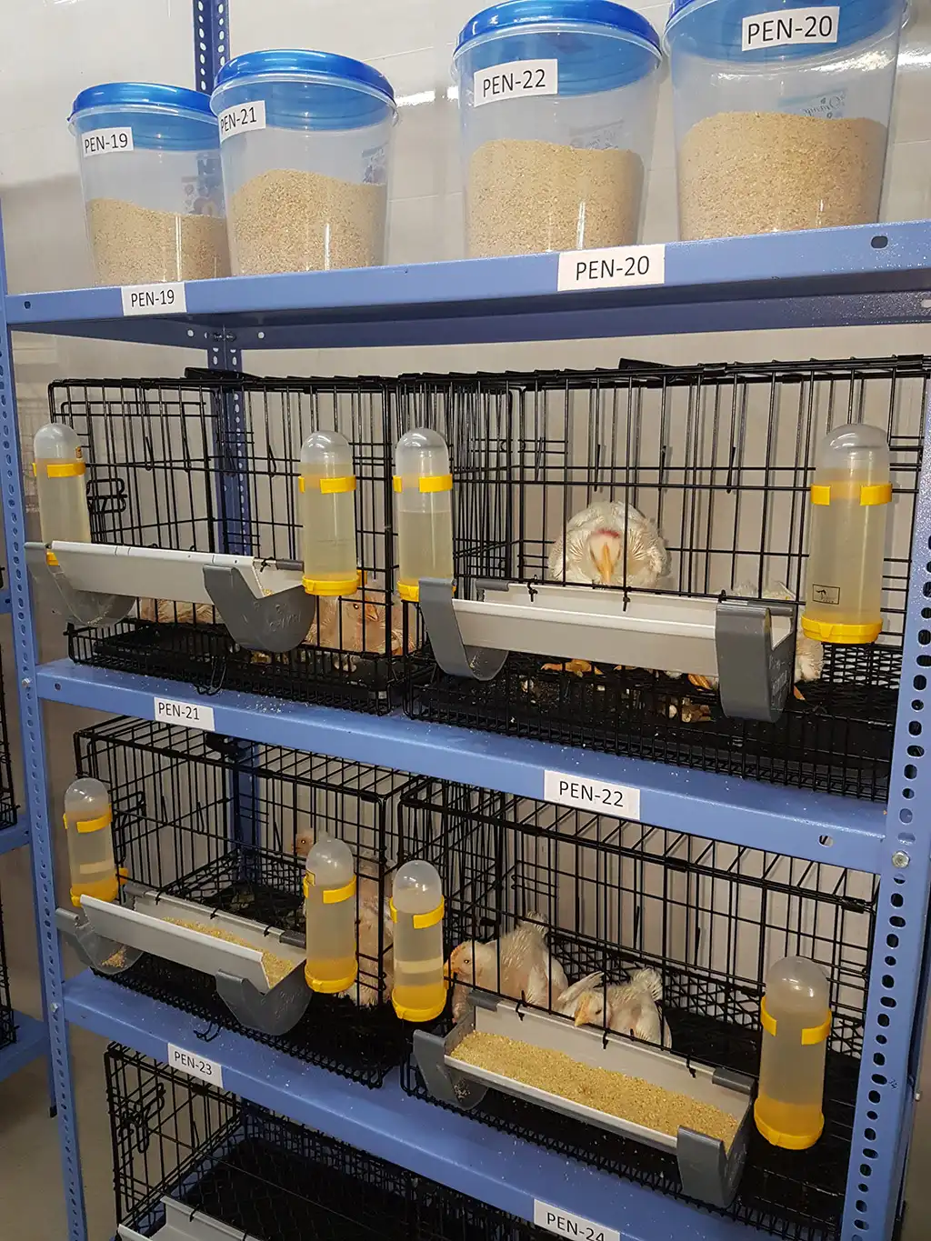 Metabolism Trial Facility Gallery 1