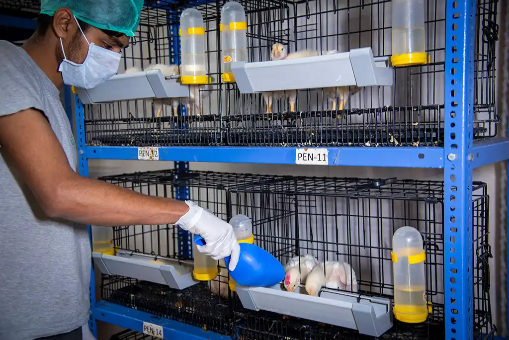 Metabolism Trial Facility Gallery 7