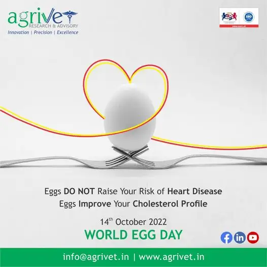 When We Are Social Gallery 25