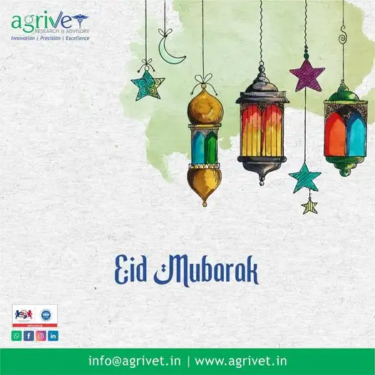 When We Are Social Gallery 43