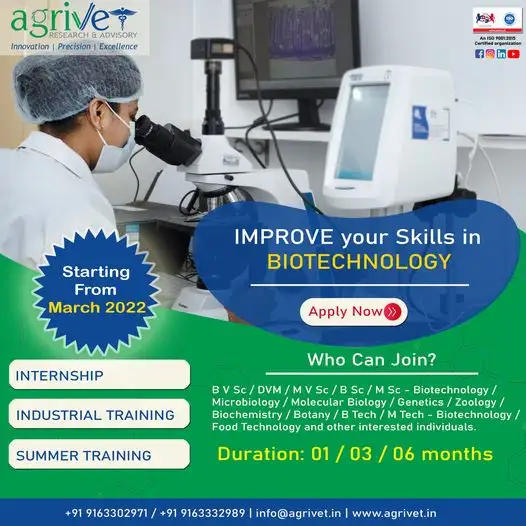 When We Are Social Gallery 49