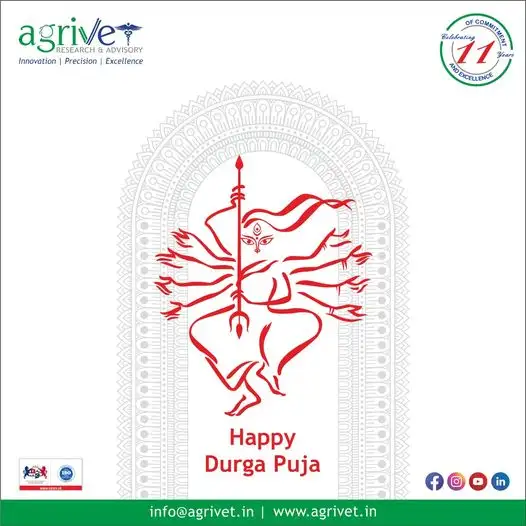 When We Are Social Gallery 56