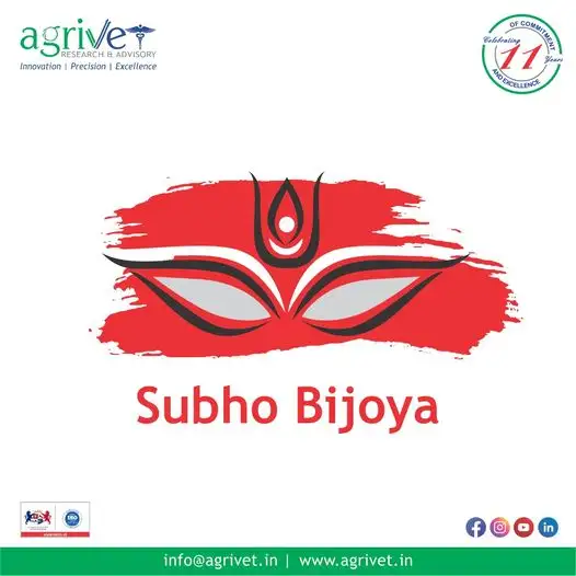 When We Are Social Gallery 57