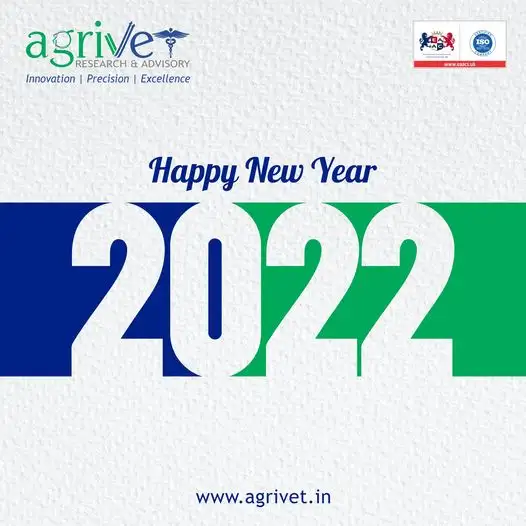 When We Are Social Gallery 58