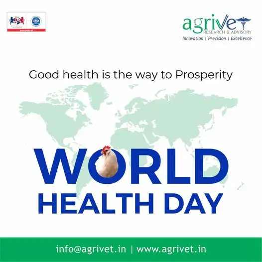 When We Are Social Gallery 59