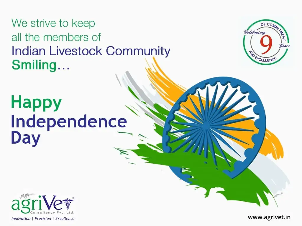 When We Are Social Gallery 69