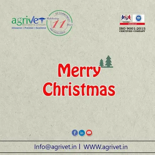 When We Are Social Gallery 70