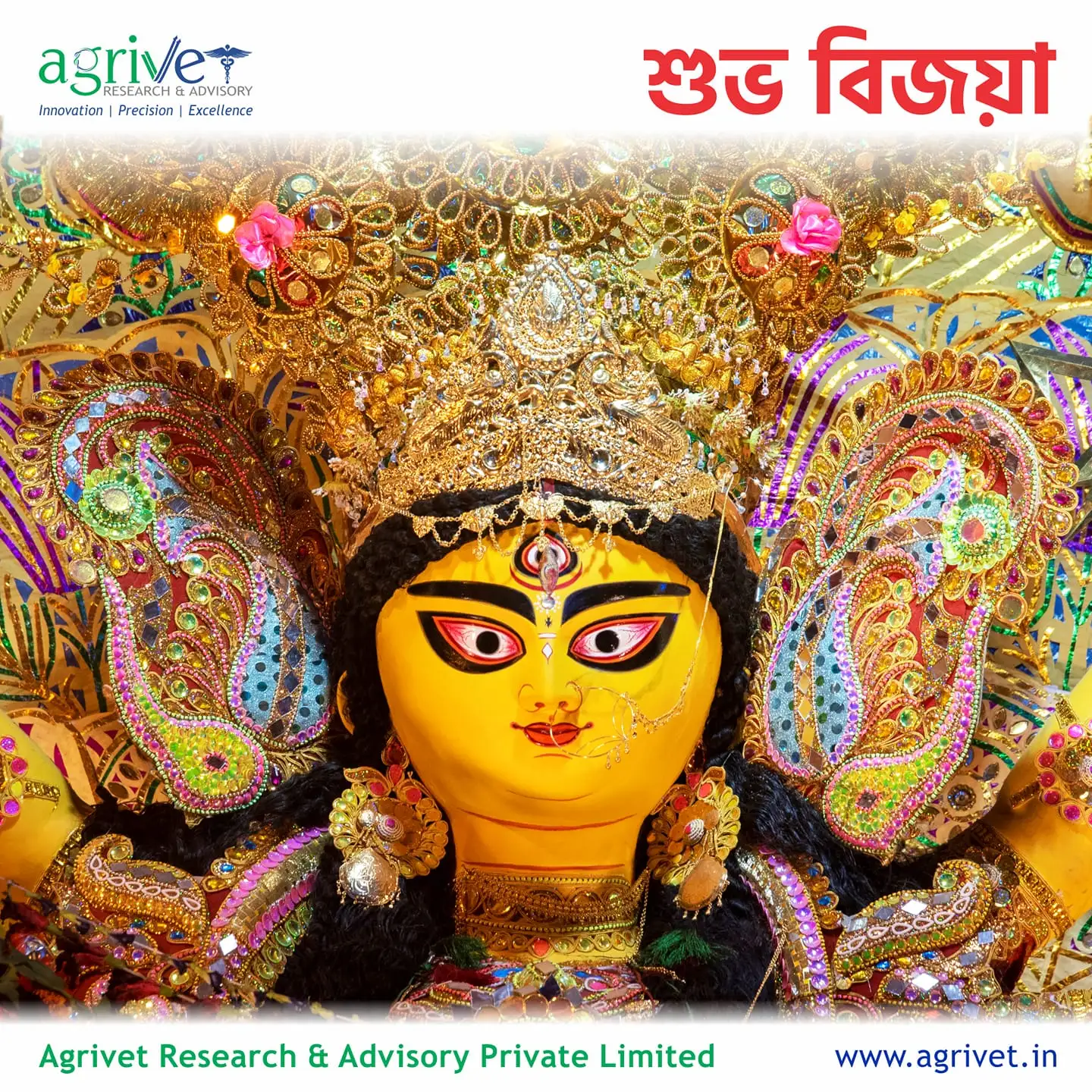 When We Are Social Gallery 71