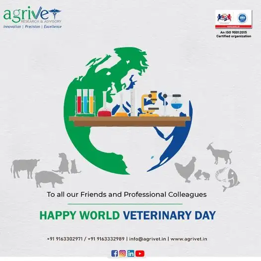 When We Are Social Gallery 72